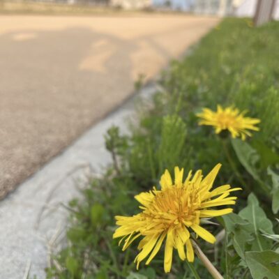 いっちゃんリレーマラソンへの道2 サムネイル